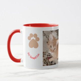 Mug Chaton roux 2 photos, meilleur thérapeute,