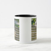 Mug Chaton se déplaçant vers le bas sur le banc (Centre)