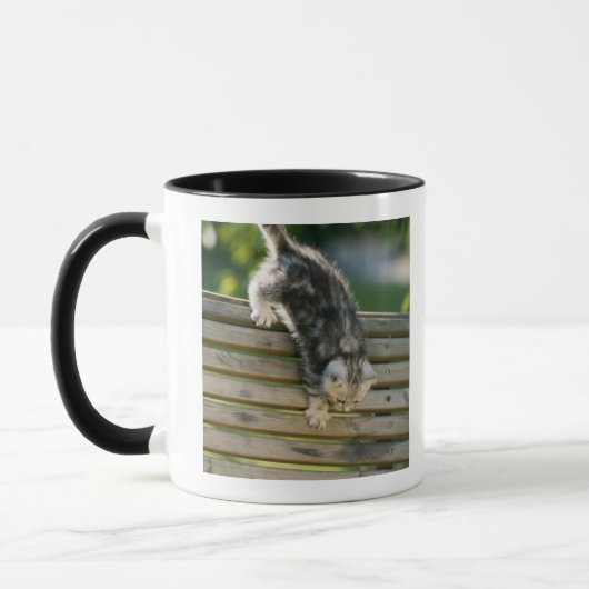 Mug Chaton se déplaçant vers le bas sur le banc (Gauche)