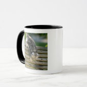 Mug Chaton se déplaçant vers le bas sur le banc (Devant gauche)