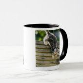Mug Chaton se déplaçant vers le bas sur le banc (Devant droit)