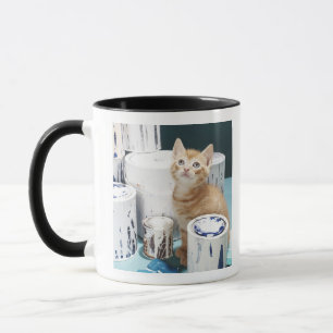 Mug Chaton se reposant parmi des bidons de peinture
