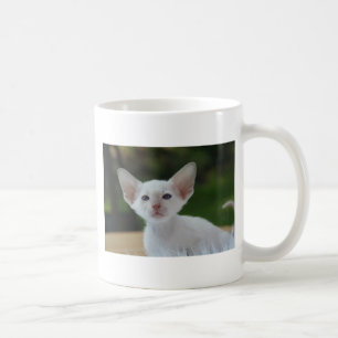 Mug Chaton siamois super mignon