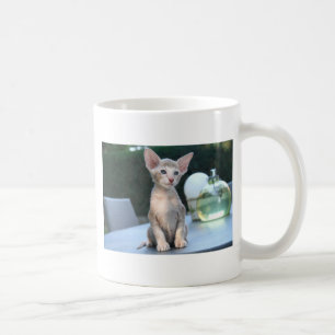 Mug Chaton siamois sur une table