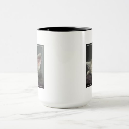 Mug Chaton somnolent (Centre)