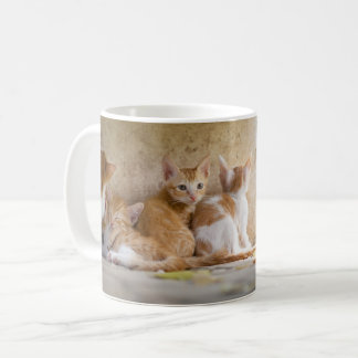 Mug Chaton tigré orange et blanc/Ajoutez la photo de v