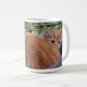 Mug Chatons au gingembre (Devant droit)