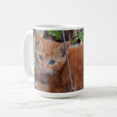 Mug Chatons au gingembre (Devant gauche)