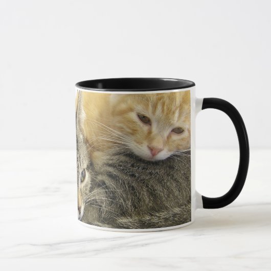 Mug Chatons d'abri (Droite)