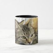 Mug Chatons d'abri (Centre)