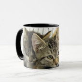 Mug Chatons d'abri (Devant gauche)