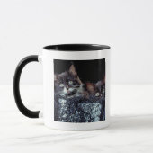 Mug Chatons dans le récipient (Gauche)