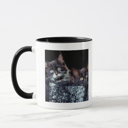 Mug Chatons dans le récipient (Gauche)