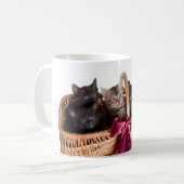 Mug chatons dans un panier en osier (Devant gauche)