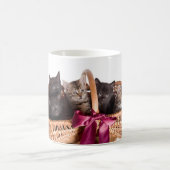 Mug chatons dans un panier en osier (Centre)