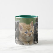 Mug Chatons de grange sur une couverture de cheval (Centre)