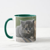 Mug Chatons de grange sur une couverture de cheval (Gauche)