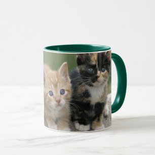 Mug Chatons de grange sur une couverture de cheval
