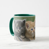 Mug Chatons de grange sur une couverture de cheval (Devant gauche)
