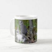 Mug Chatons de Kute (Devant gauche)