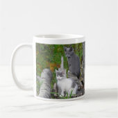 Mug Chatons de Kute (Gauche)
