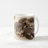Mug Chatons dormant (Devant droit)