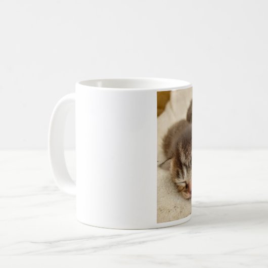 Mug Chatons dormant (Devant gauche)