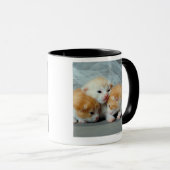Mug Chatons oranges de fourrure (Devant droit)