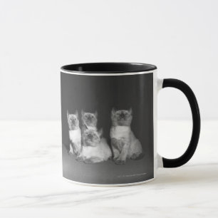 Mug Chatons siamois recherchant B&W