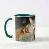 Mug Chats abyssiniques (Gauche)