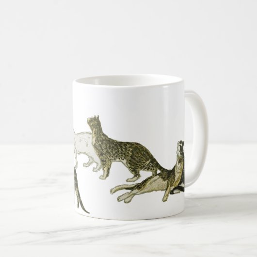 Mug Chats, Alexandre Steinlen (Devant droit)