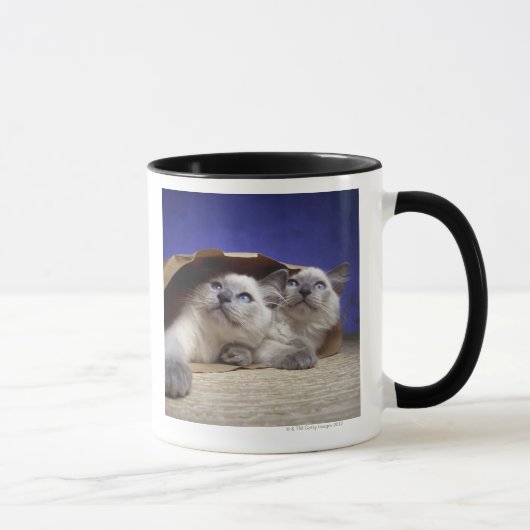 Mug Chats dans le sac de papier (Droite)
