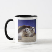 Mug Chats dans le sac de papier (Gauche)