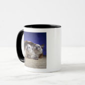 Mug Chats dans le sac de papier (Devant gauche)