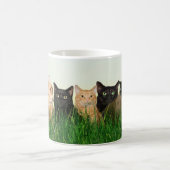 Mug Chats de Kitty dans l'herbe (Centre)