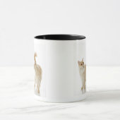 Mug Chats de Munchkin (Centre)