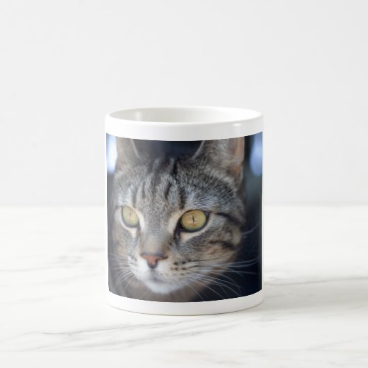 Mug chatte (Centre)
