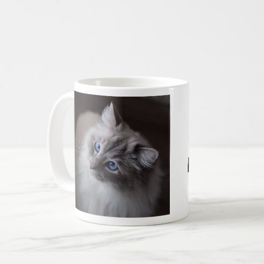 Mug Chatte de Ragdoll (Devant gauche)