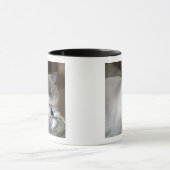 Mug Chatte Ragdoll (Centre)