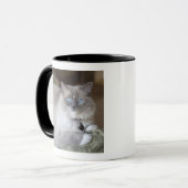 Mug Chatte Ragdoll (Devant gauche)