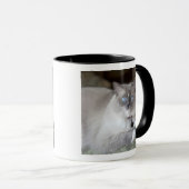 Mug Chatte Ragdoll (Devant droit)