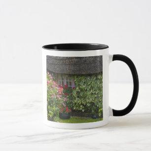 Mug Chaumière, Adare, comté de Limerick,