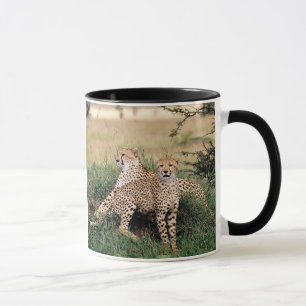 Mug Cheetah Pair