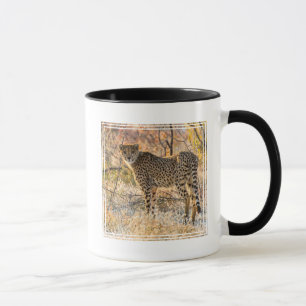 Mug Cheetah regarde autour de lui