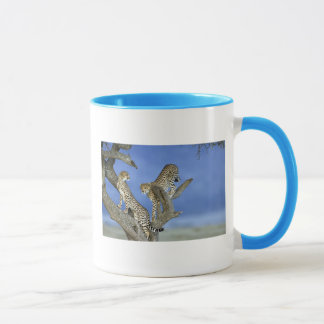 Mug Cheetahs