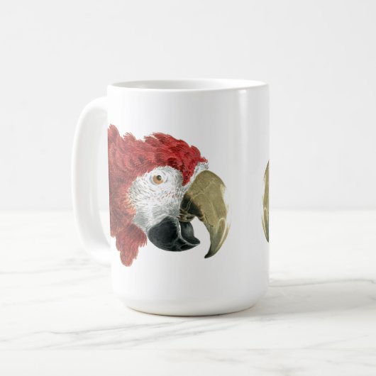 Mug Chef d'une Macaw (1725-1792) Aert Schouman (Devant gauche)