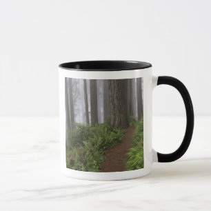 Mug Chemin à travers les séquoias géants enveloppés