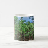 Mug Chemin en bois dans la pinède (Centre)