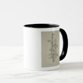 Mug Chêne antique avec le nid d'une cigogne (Devant droit)