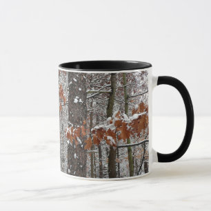 Mug Chênes couverts de neige hiver Photographie de la 
